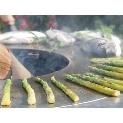 ARTISS DESIGN Brasero Artiss G2 Graphite Plaque Acier Carbone 7 ARTISS DESIGN Brasero Artiss G2 Graphite Plaque Acier Carbone -Chauffage d'extérieur Soldes 26854116 3