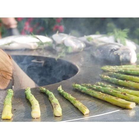 ARTISS DESIGN Brasero Artiss G2 Graphite Plaque Acier Carbone 5 ARTISS DESIGN Brasero Artiss G2 Graphite Plaque Acier Carbone – Image 3