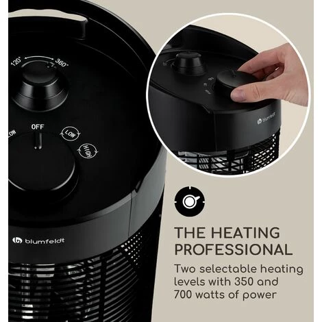 Blumfeldt 6 Blumfeldt – Image 4