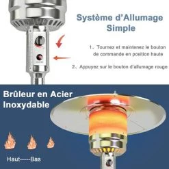 GOPLUS Parasol Chauffant Gaz En Fer,Chauffe-terrasse Etanche,Chauffage Extérieur Vertical Style Classique,Chauffage Gaz Terrasse,Extérieur Pour Jardin,Camping, Barbecue (Bronze) -Chauffage d'extérieur Soldes 57205695 3